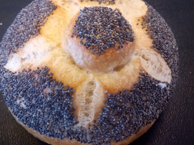 Mohnbrötchen