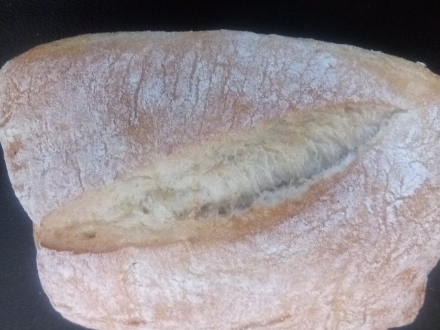 Panini Ciabatta-Brötchen